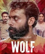 Wolf (2024) Wolf (2024)